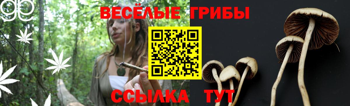 Псилоцибиновые грибы Magic Shrooms Кизилюрт